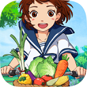 和鑫意APP