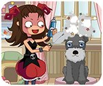 新澳门必中三肖三码网站V6.6.8